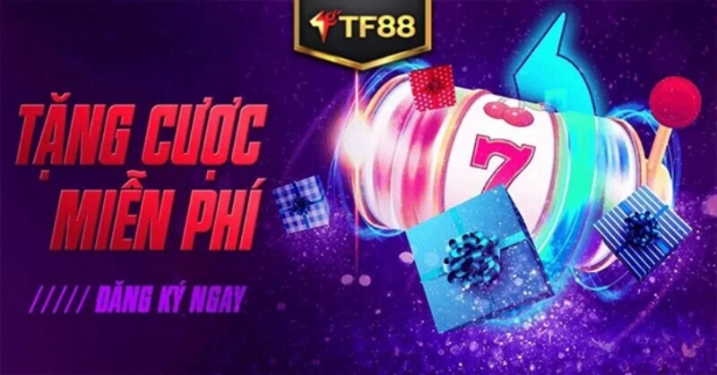 Người chơi sẽ nhận khuyến mãi tiền cược miễn phí khi tham gia cá cược ở TF88